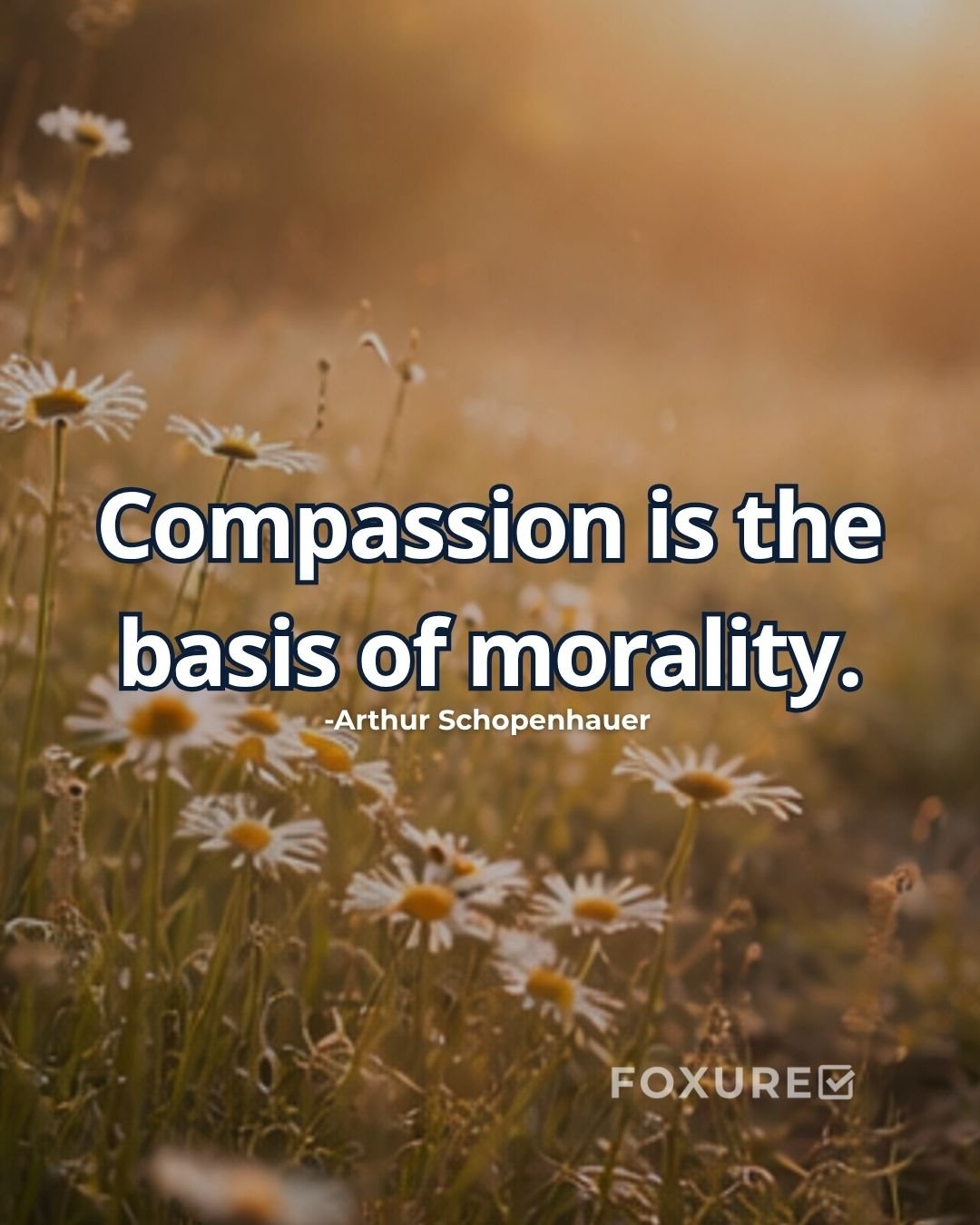 Compassion is the basis of morality - Arthur Schopenhauer