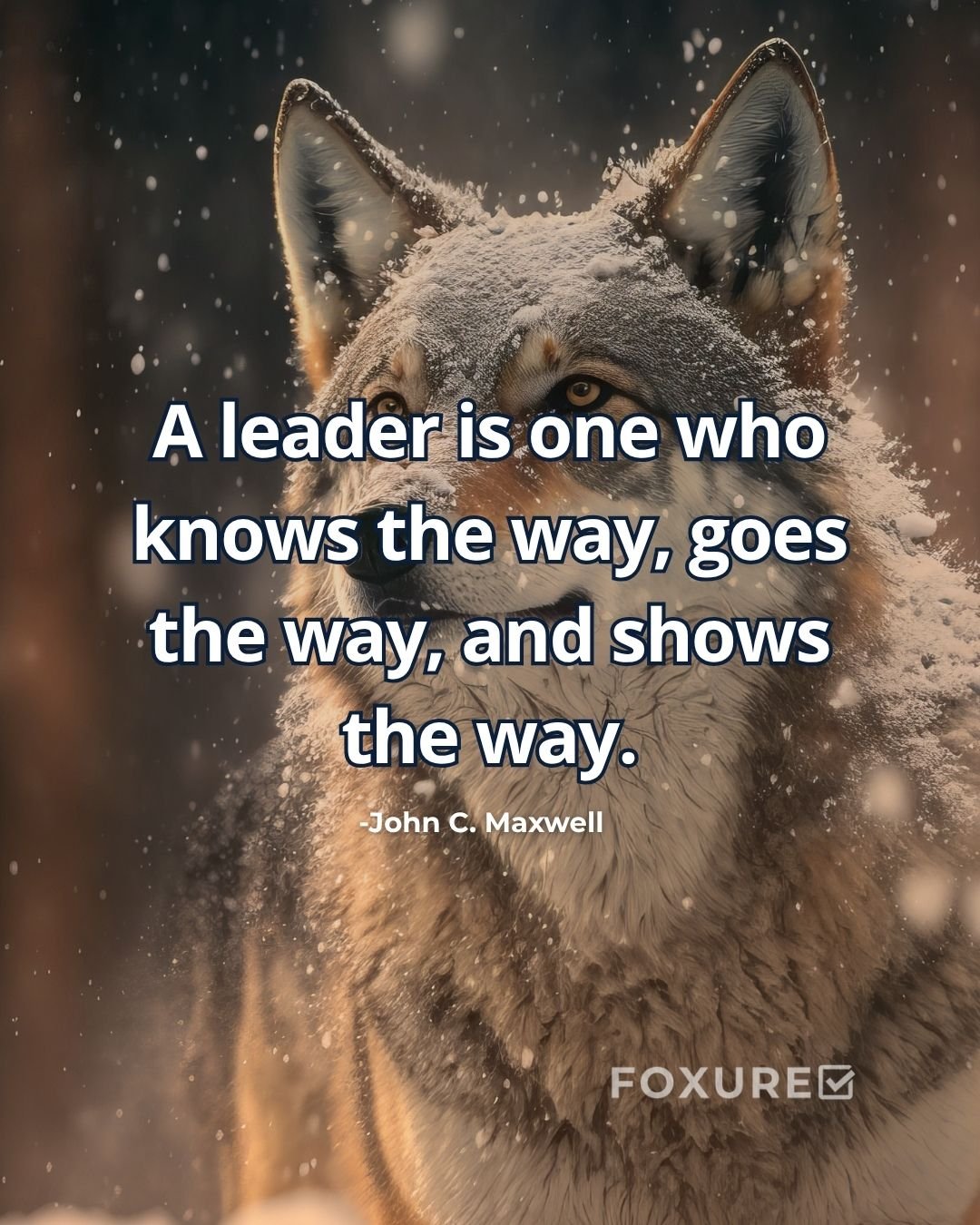 A leader is one who knows the way, goes the way, and shows the way - John C. Maxwell