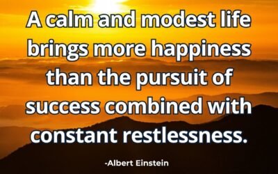 A calm and modest life brings more happiness than the pursuit of success combined with constant restlessness – Albert Einstein