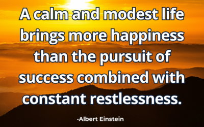 A calm and modest life brings more happiness than the pursuit of success combined with constant restlessness – Albert Einstein