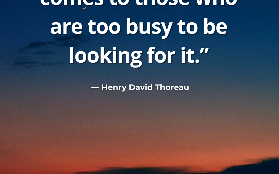 Success Usually Comes to Those Who Are Too Busy to Be Looking for It – Henry David Thoreau
