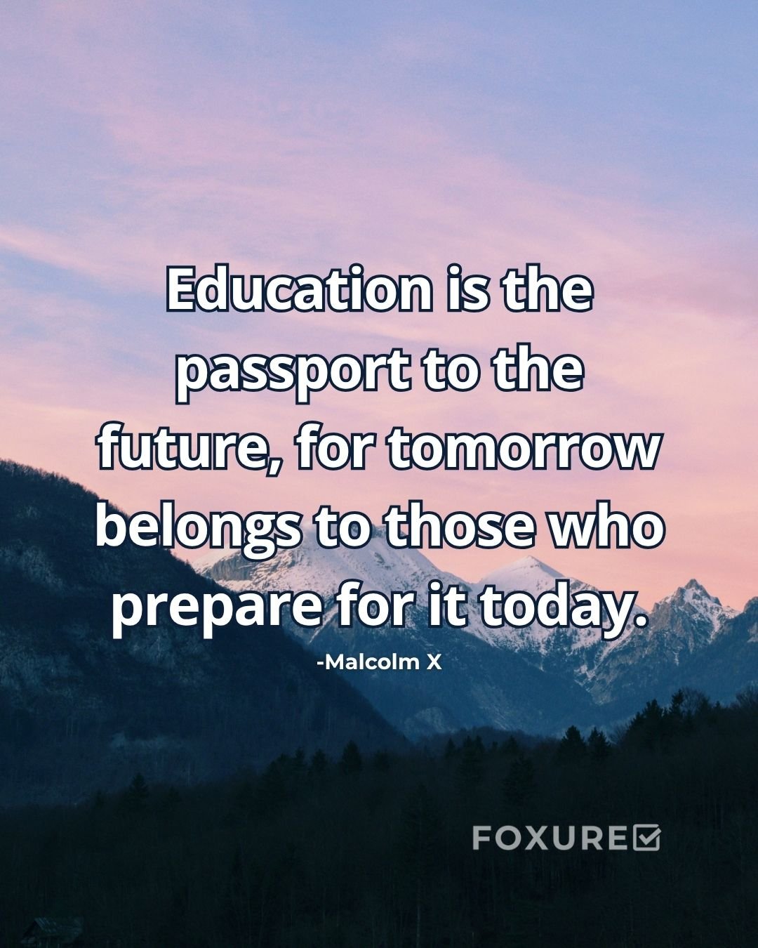 Education is the passport to the future, for tomorrow belongs to those who prepare for it today - Malcolm X