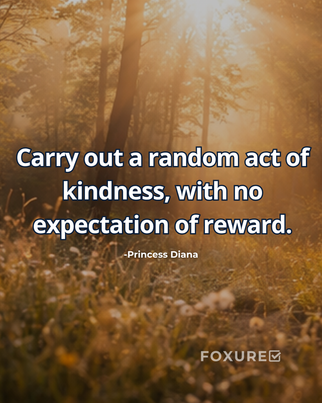 Carry out a random act of kindness, with no expectation of reward - Princess Diana