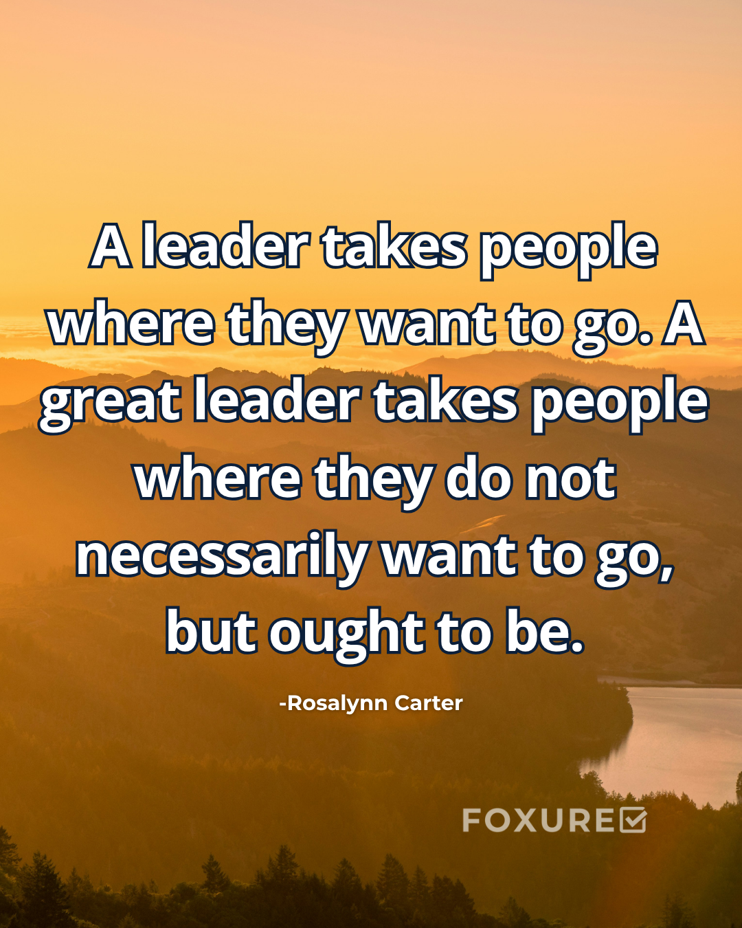 A leader takes people where they want to go. A great leader takes people where they do not necessarily want to go, but ought to be - Rosalynn Carter