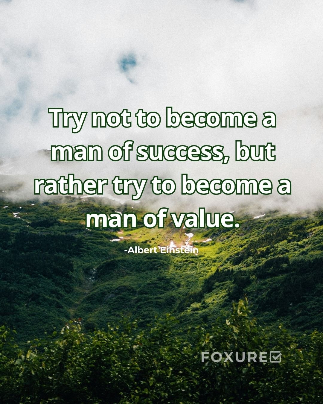 Try not to become a man of success, but rather try to become a man of value - Albert Einstein