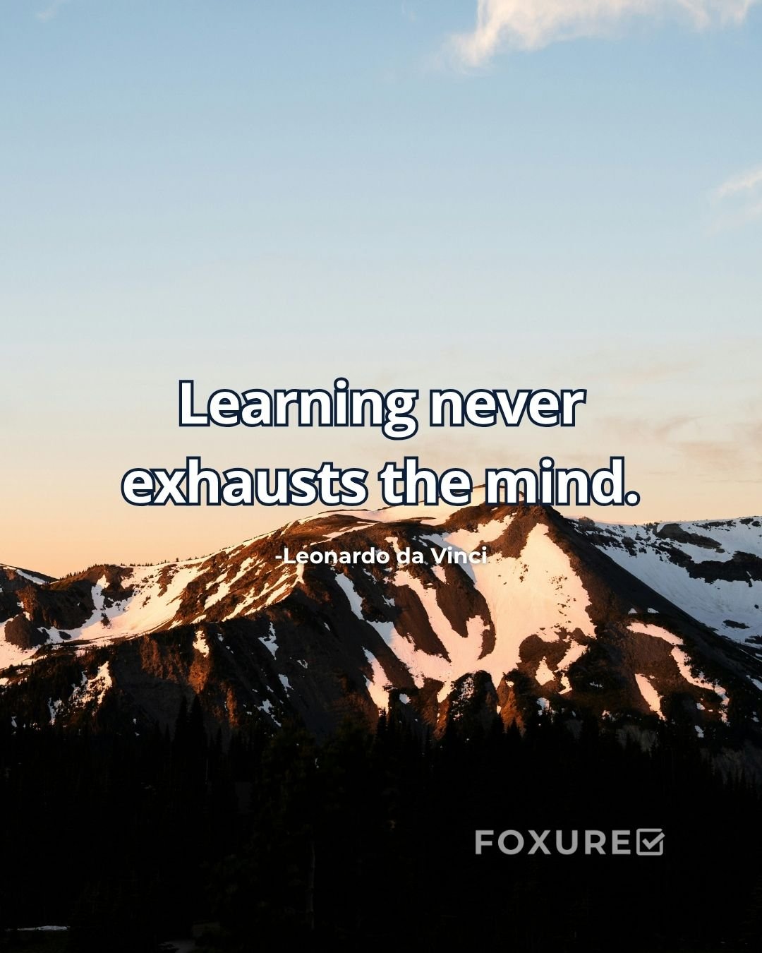 Learning never exhausts the mind - Leonardo da Vinci
