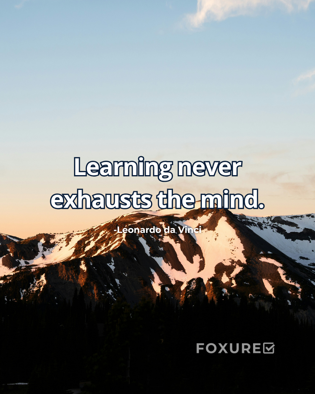 Learning never exhausts the mind - Leonardo da Vinci
