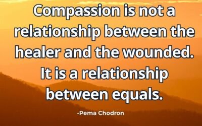 Compassion is not a relationship between the healer and the wounded. It is a relationship between equals – Pema Chodron