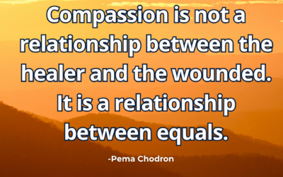 Compassion is not a relationship between the healer and the wounded. It is a relationship between equals – Pema Chodron
