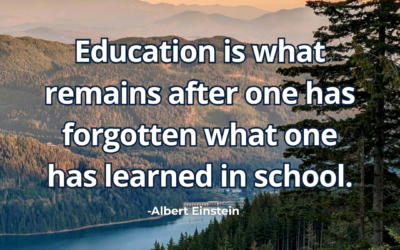 Education is what remains after one has forgotten what one has learned in school – Albert Einstein