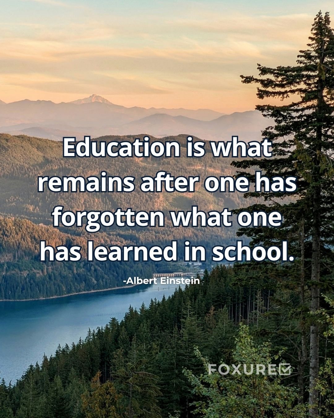 Education is what remains after one has forgotten what one has learned in school - Albert Einstein