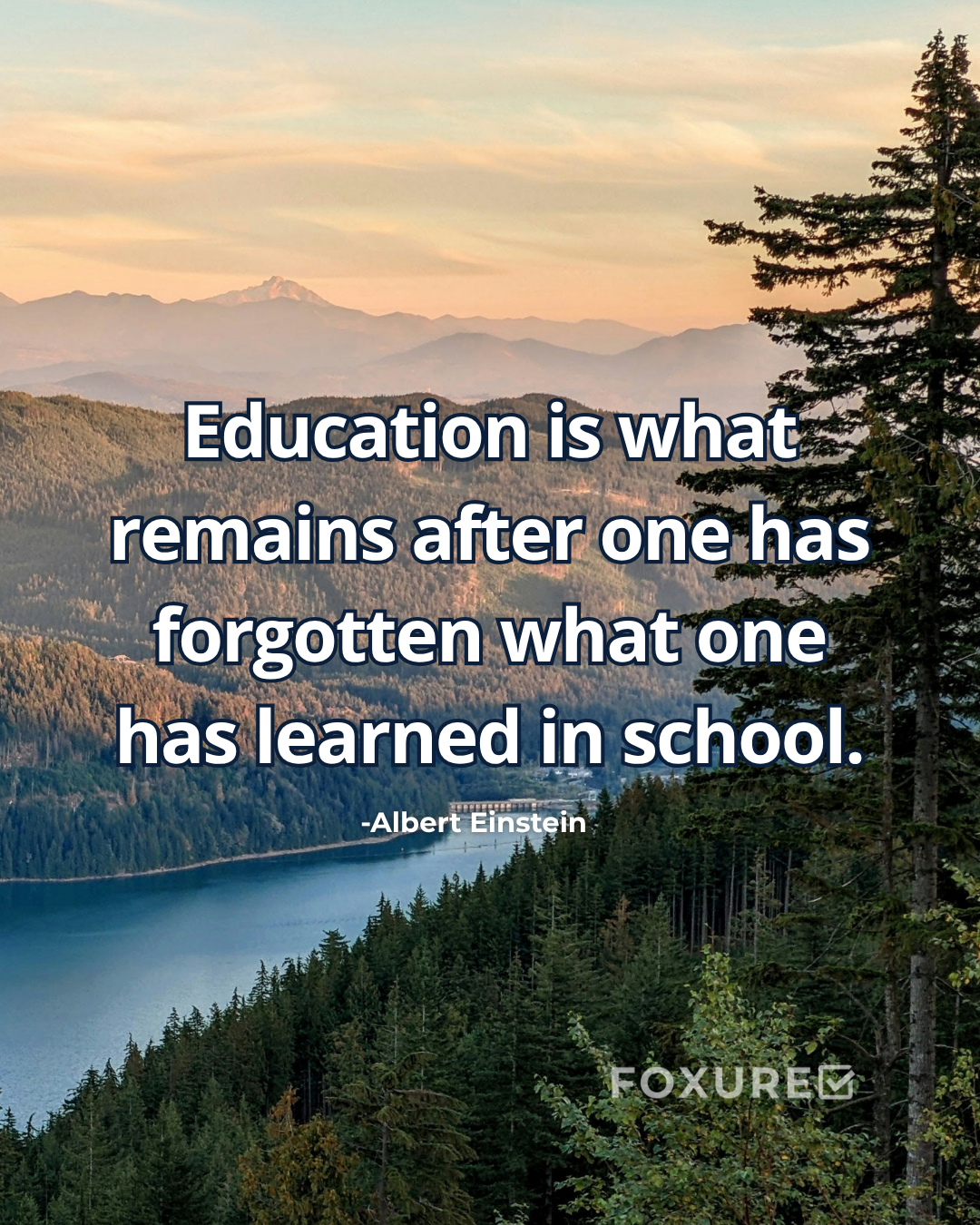 Education is what remains after one has forgotten what one has learned in school - Albert Einstein