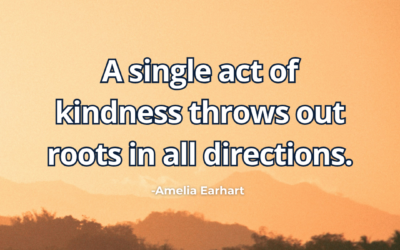 A single act of kindness throws out roots in all directions – Amelia Earhart