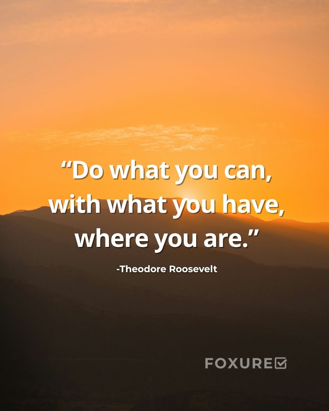 Do What You Can, With What You Have, Where You Are - Theodore Roosevelt