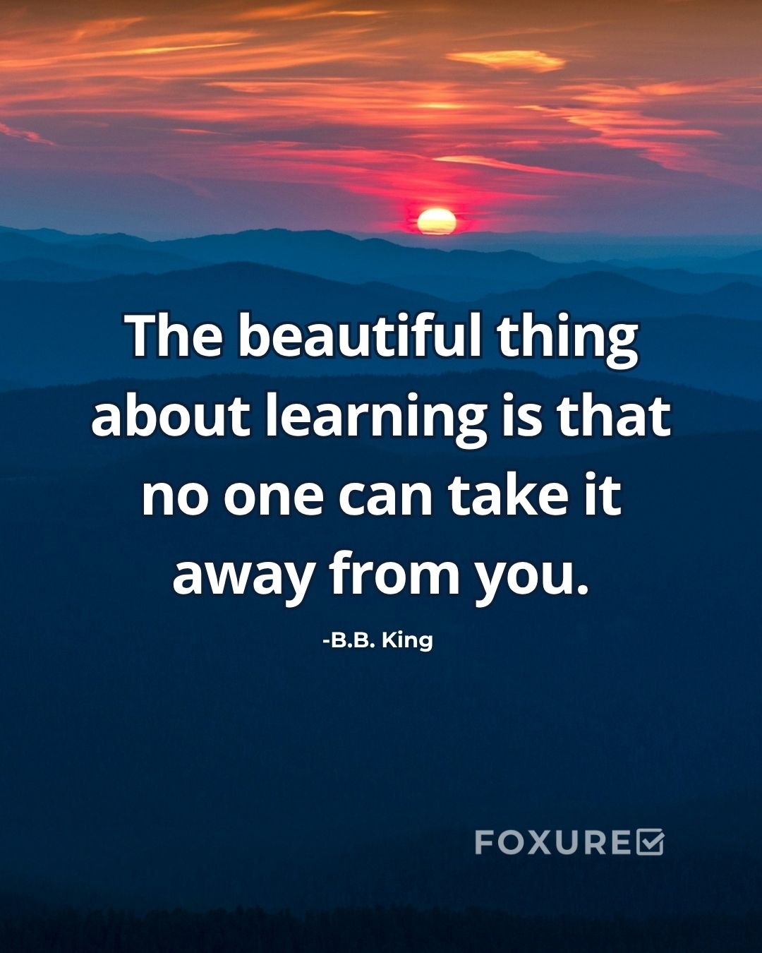 The beautiful thing about learning is that no one can take it away from you - B.B. King