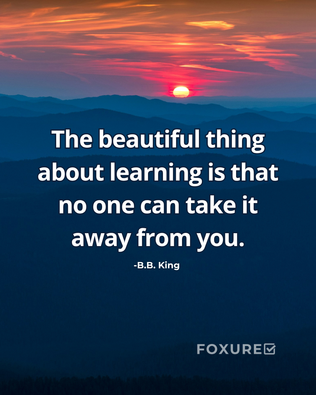 The beautiful thing about learning is that no one can take it away from you - B.B. King