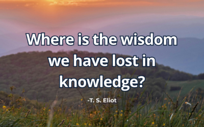 Where is the wisdom we have lost in knowledge? – T. S. Eliot 