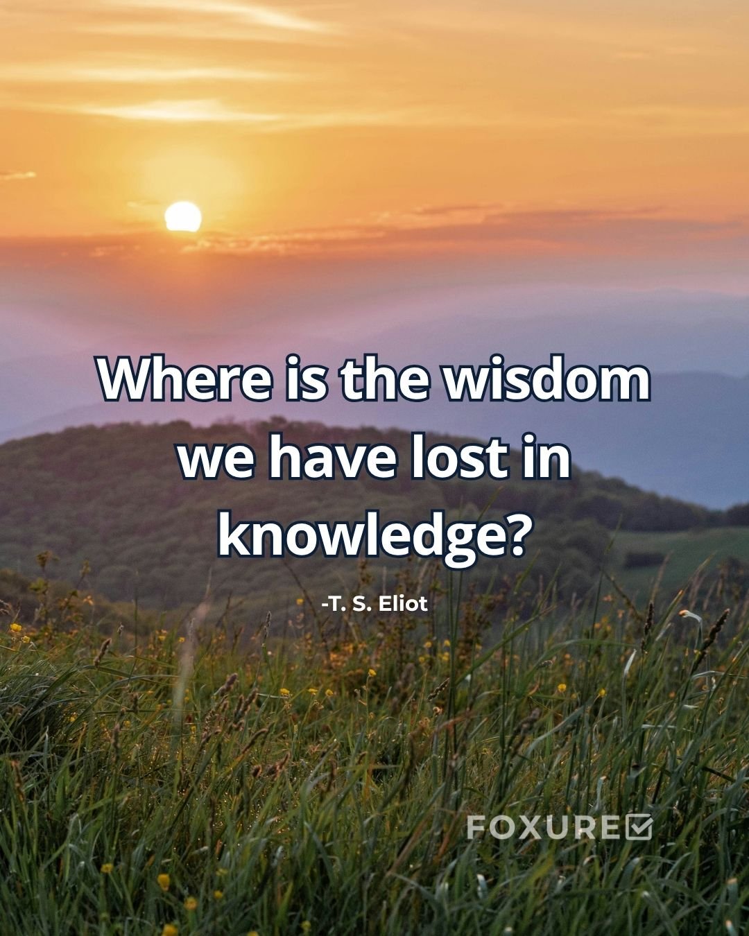Where is the wisdom we have lost in knowledge? - T. S. Eliot 