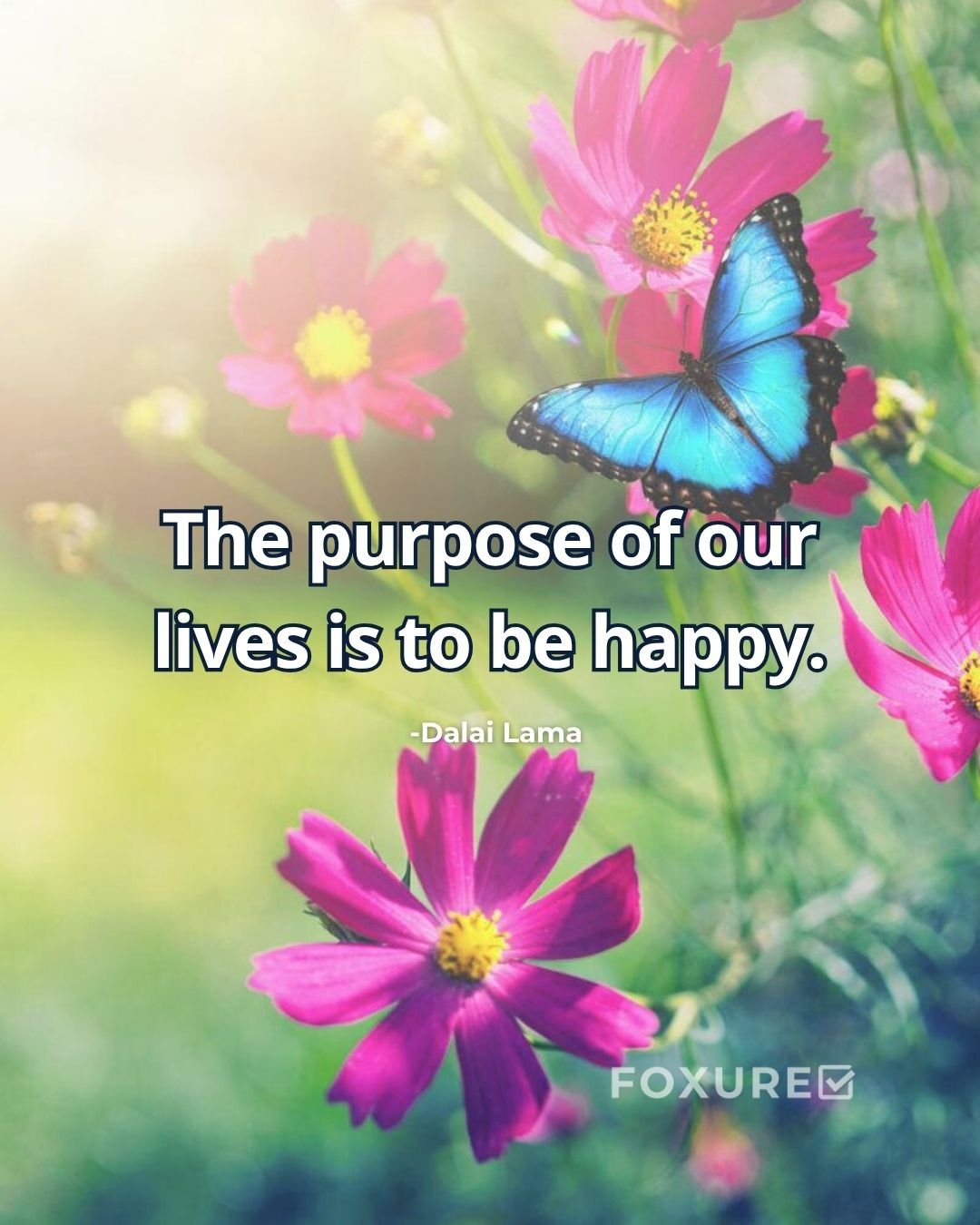 The purpose of our lives is to be happy - Dalai Lama