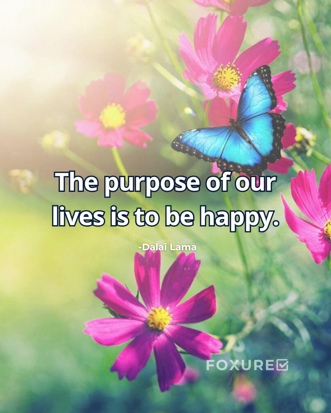 The purpose of our lives is to be happy - Dalai Lama