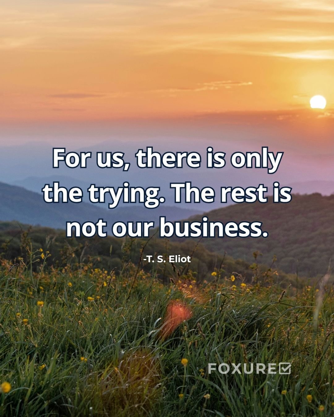 For us, there is only the trying. The rest is not our business - T. S. Eliot