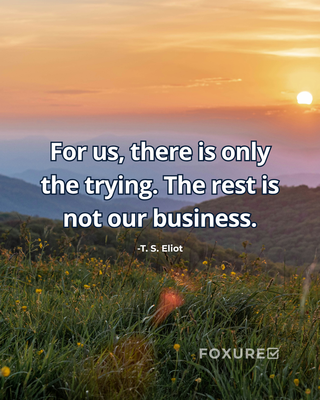 For us, there is only the trying. The rest is not our business - T. S. Eliot