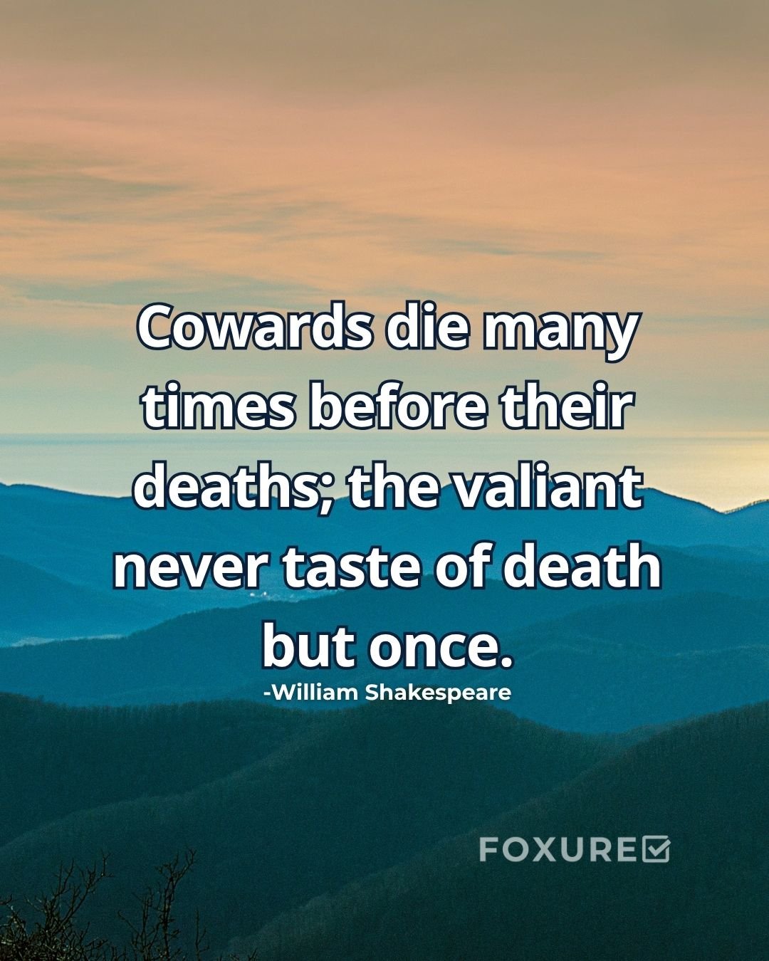 Cowards die many times before their deaths; the valiant never taste of death but once - William Shakespeare