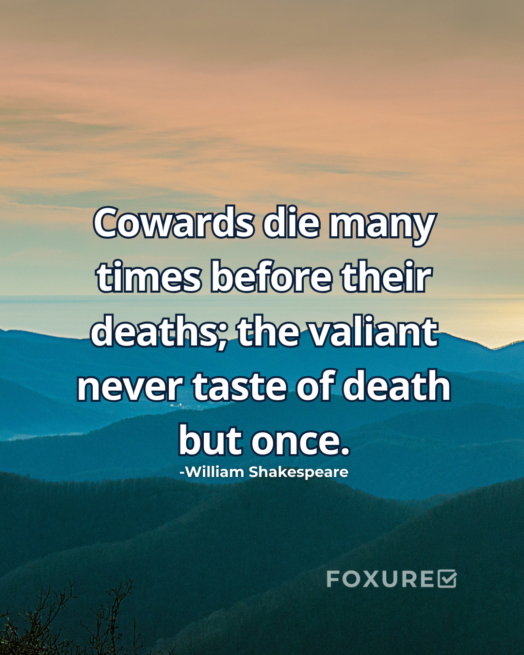 Cowards die many times before their deaths; the valiant never taste of death but once - William Shakespeare