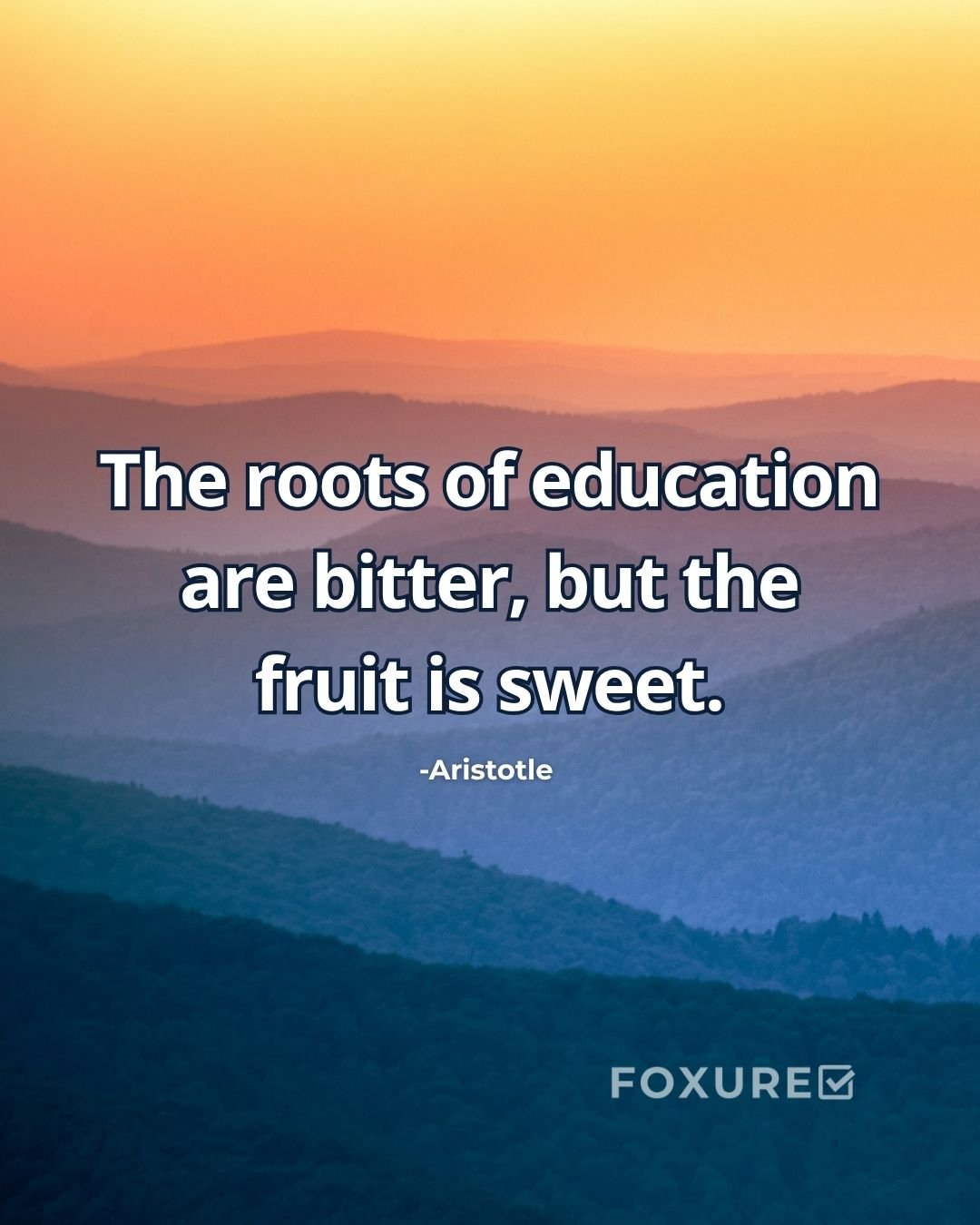 The roots of education are bitter, but the fruit is sweet - Aristotle