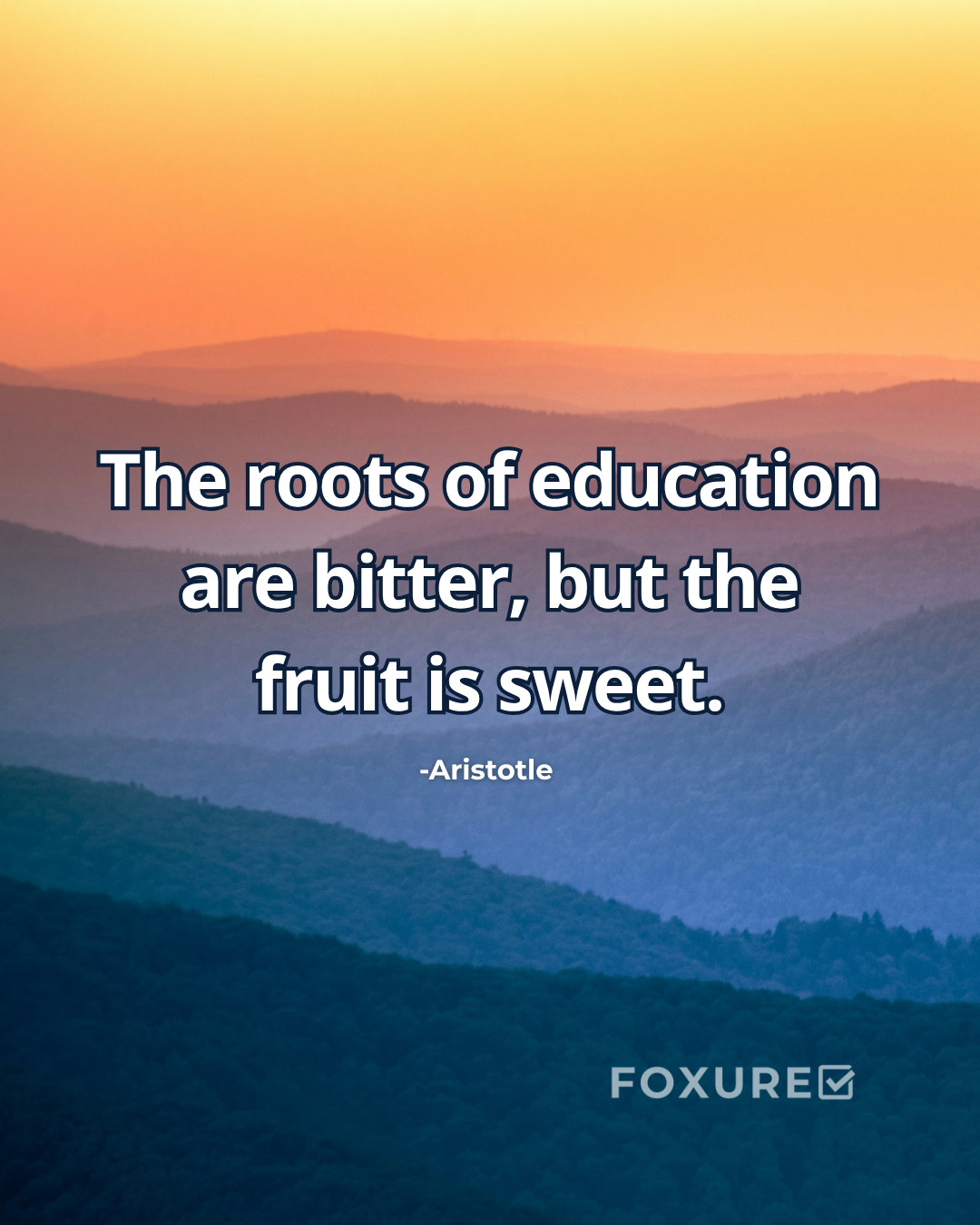 The roots of education are bitter, but the fruit is sweet - Aristotle