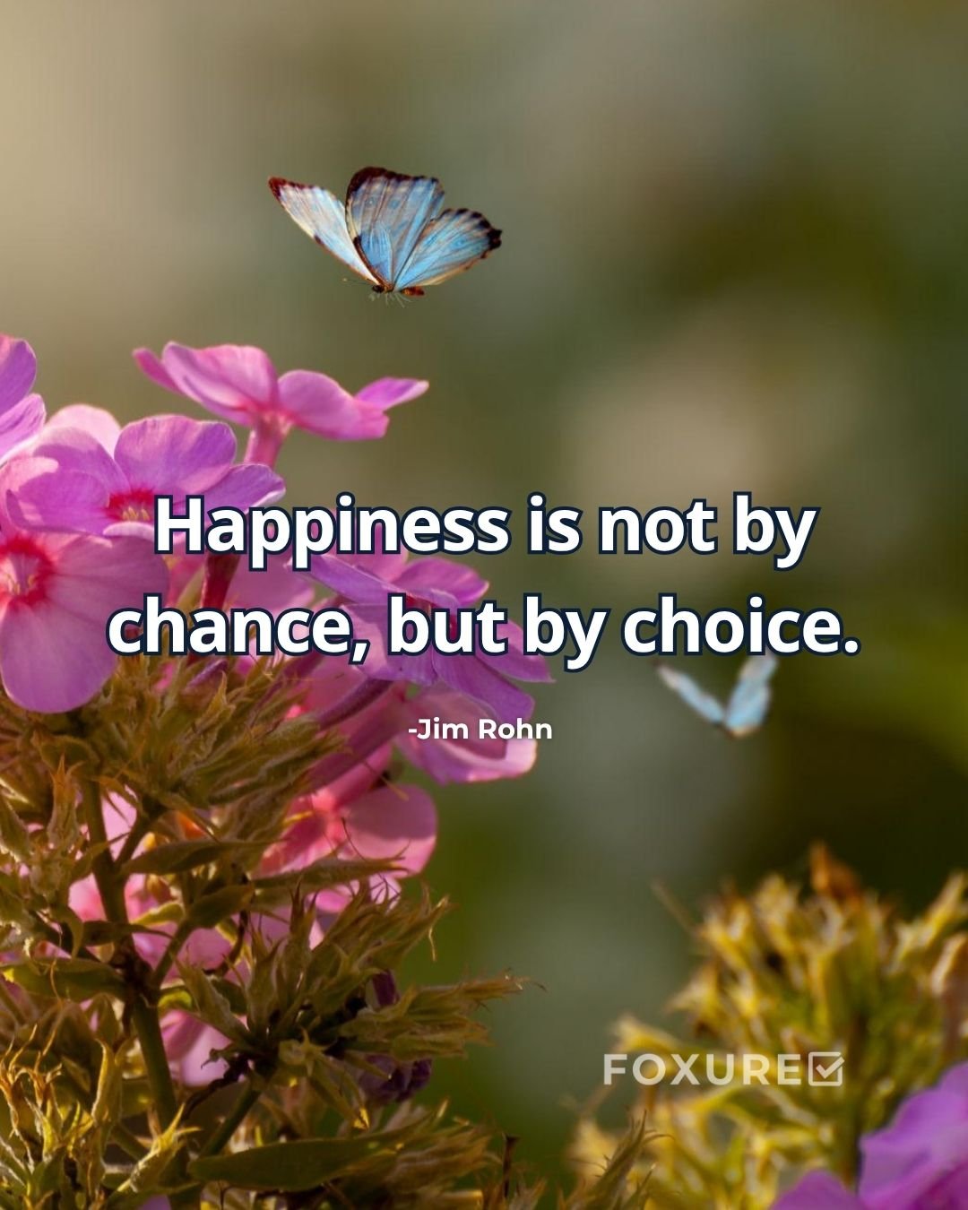 Happiness is not by chance, but by choice - Jim Rohn