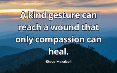 A kind gesture can reach a wound that only compassion can heal – Steve Maraboli