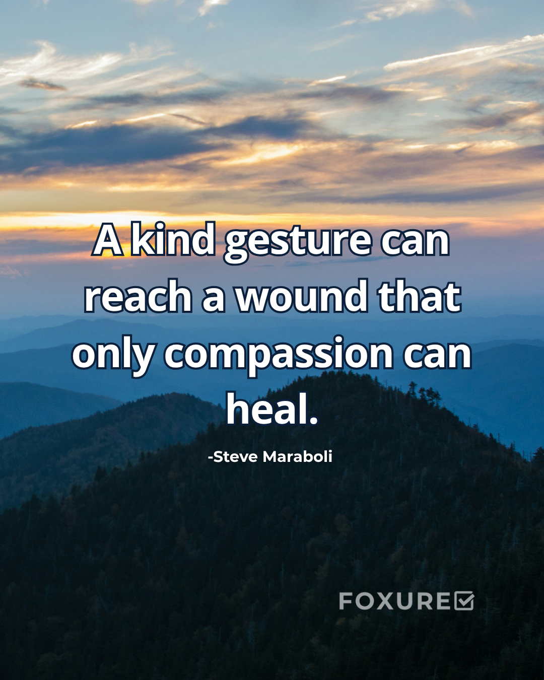 A kind gesture can reach a wound that only compassion can heal - Steve Maraboli