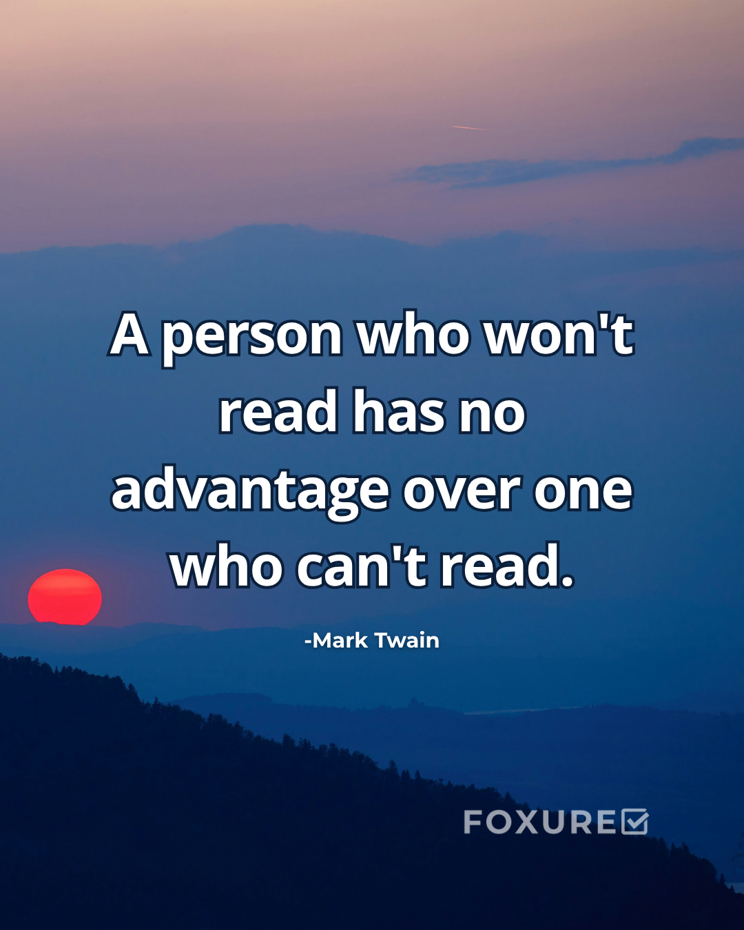 A person who won't read has no advantage over one who can't read - Mark Twain
