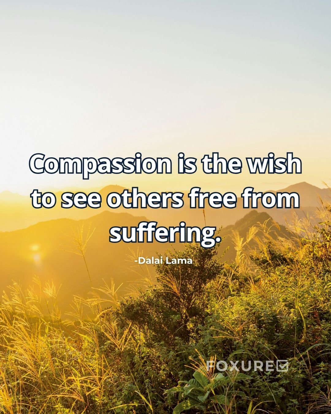 Compassion is the wish to see others free from suffering - Dalai Lama