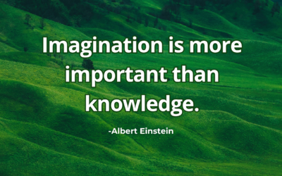 Imagination is more important than knowledge.- Albert Einstein