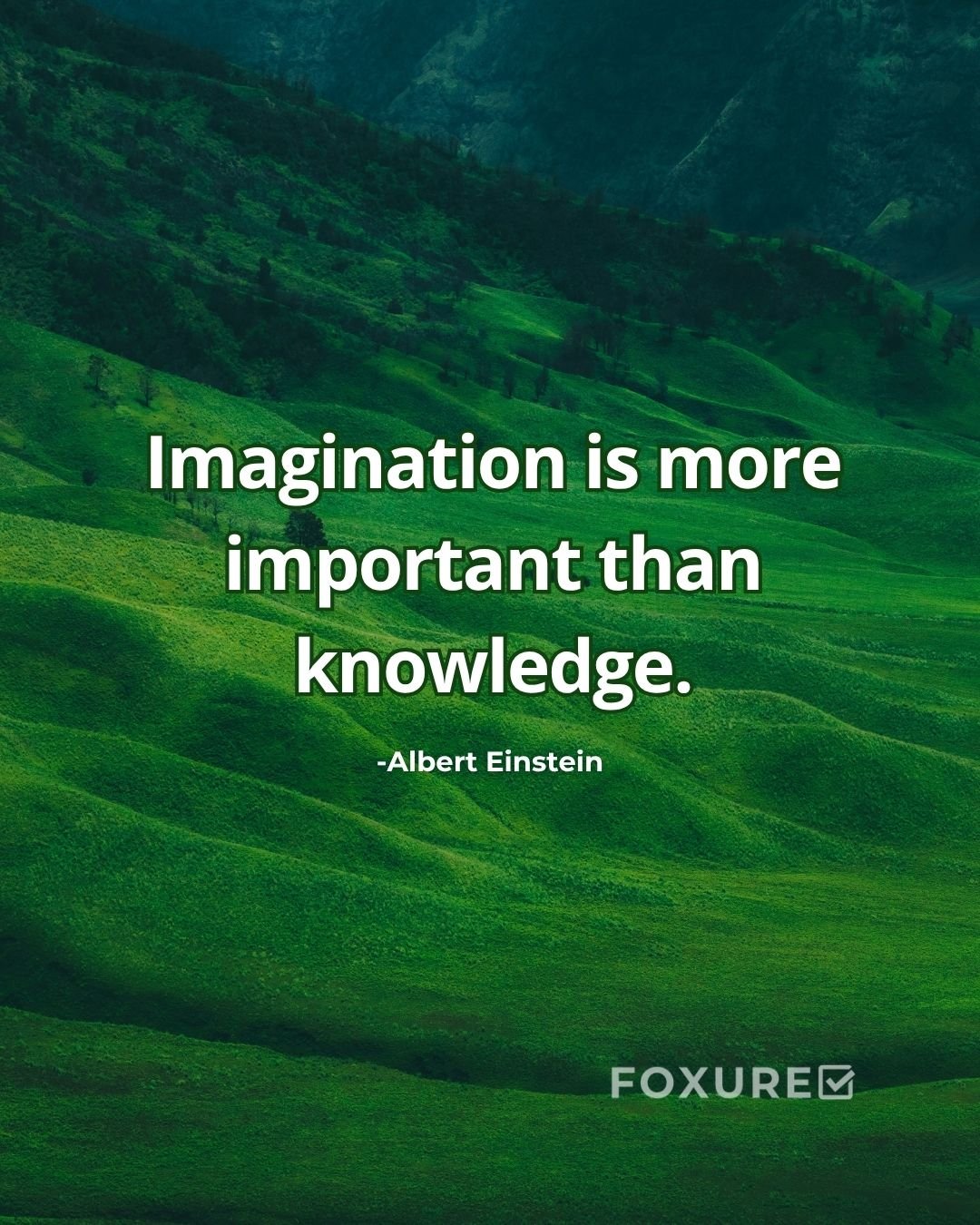 Imagination is more important than knowledge - Albert Einstein