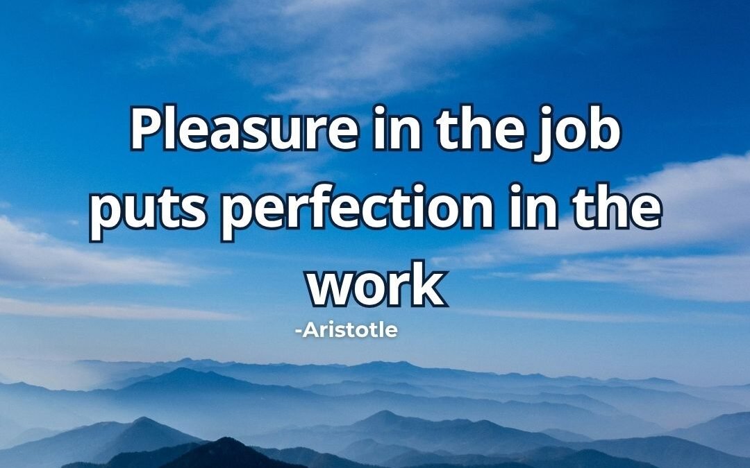 Pleasure in the job puts perfection in the work – Aristotle