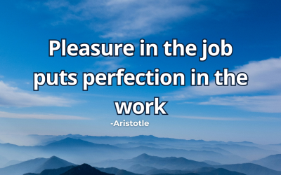Pleasure in the job puts perfection in the work – Aristotle