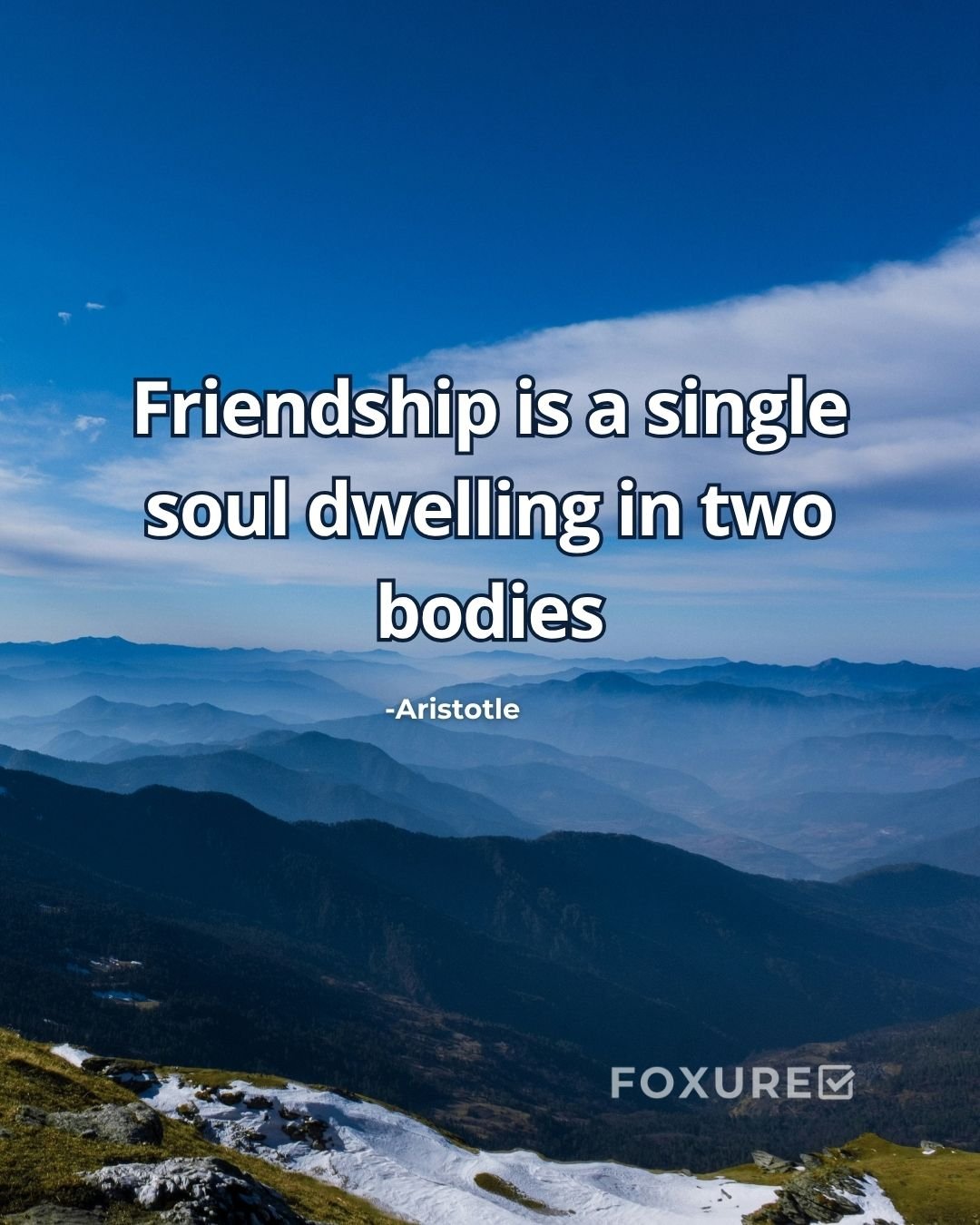 Friendship is a single soul dwelling in two bodies - Aristotle