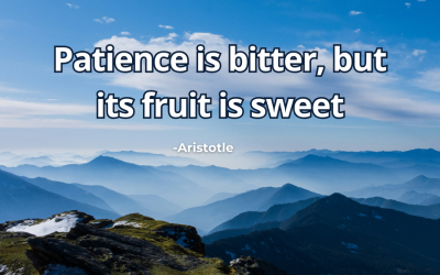 Patience is bitter, but its fruit is sweet – Aristotle