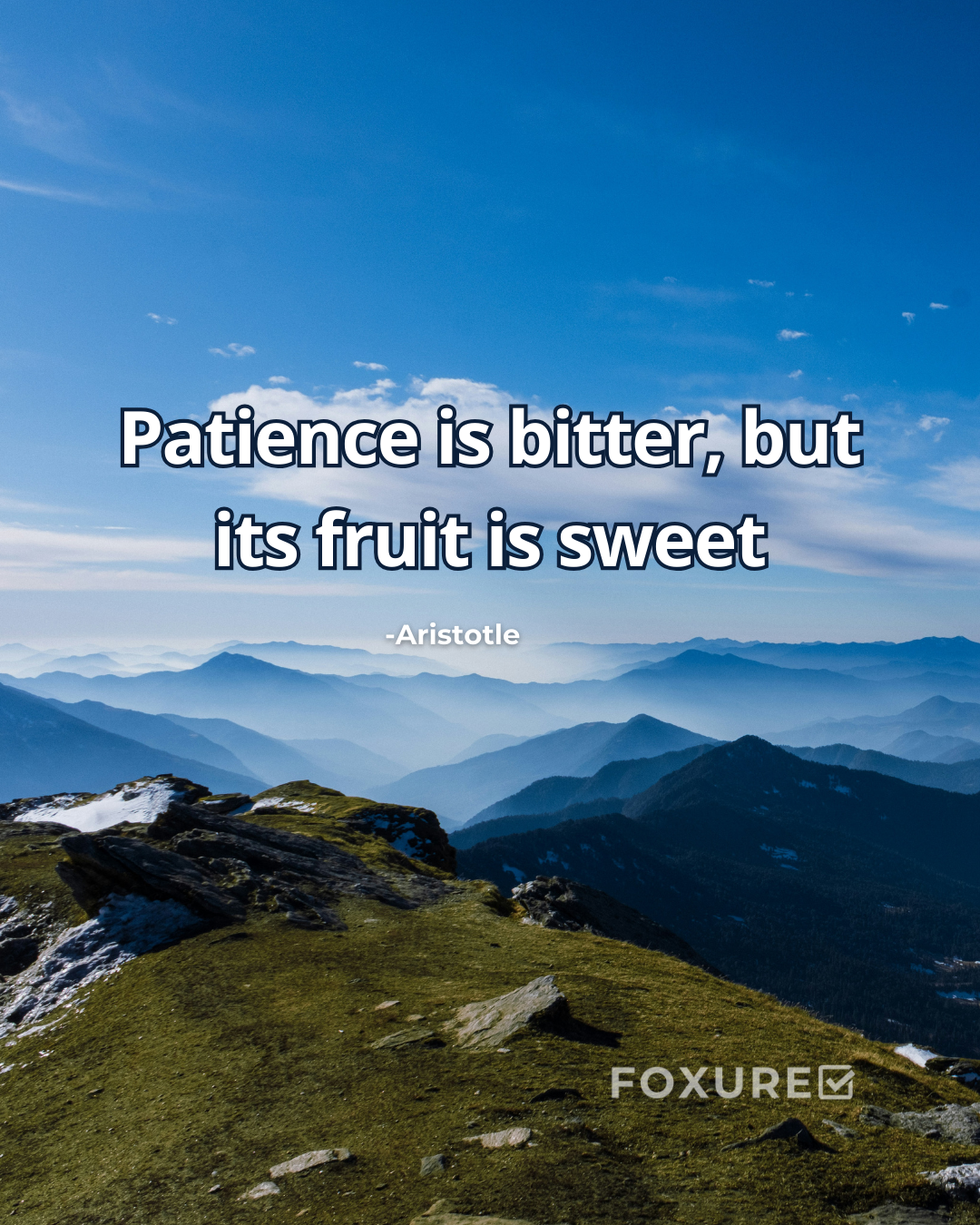 Patience is bitter, but its fruit is sweet - Aristotle