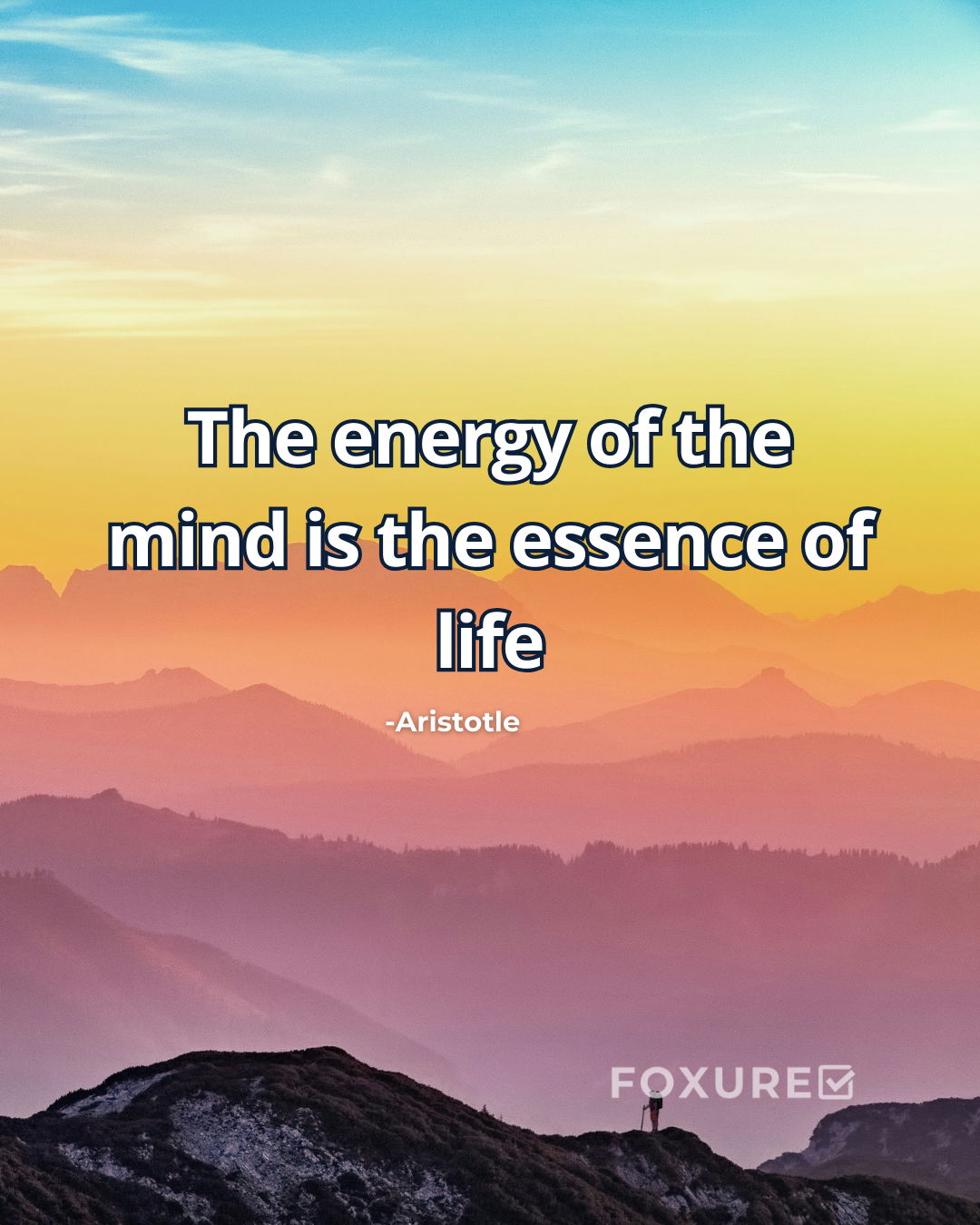 The energy of the mind is the essence of life - Aristotle