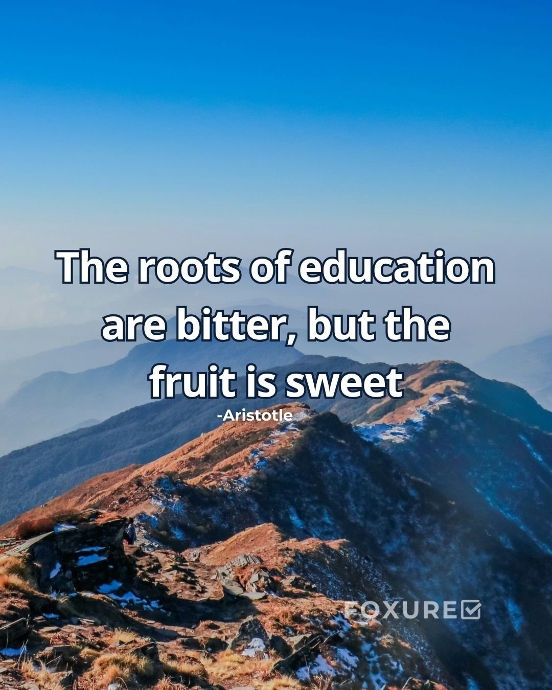 The roots of education are bitter, but the fruit is sweet - Aristotle