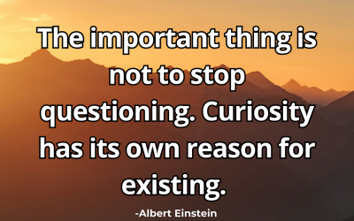 The important thing is not to stop questioning. Curiosity -Albert Einstein
