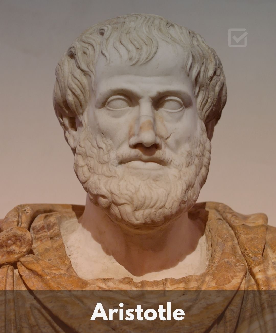 Aristotle Quotes Face Image (2)